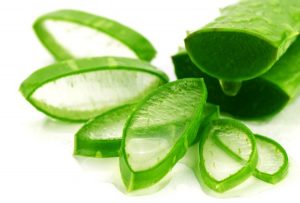 Trị mụn bằng nha đam