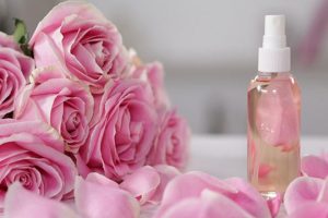 Cách chọn nước hoa hồng cho từng loại da