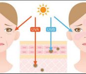 Top 7 những trái cây nên ăn khi bị mụn