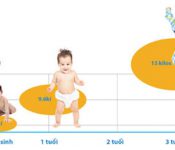 Top 7 những trái cây nên ăn khi bị mụn