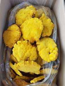Cách dùng nấm thượng hoàng Hàn Quốc