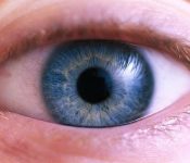 TOP 10 các bệnh về mắt, nguyên nhân và cách phòng chống